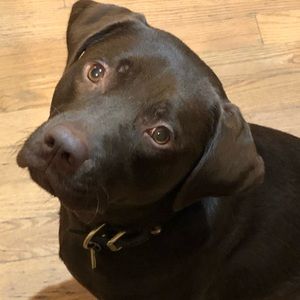 Meet your Posher, Cassie